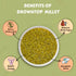 Millet Mania Browntop Millet