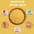 Millet Mania Foxtail Millet