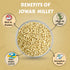 Millet Mania Jowar Millet