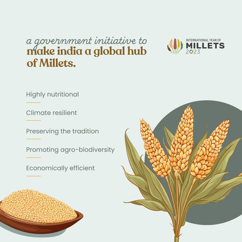 Bharat Vedica Organic Kodo Millet Organic Kodo millet