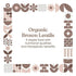 Bharat Vedica Organic Brown Lentils Organic Masoor Dal Sabut
