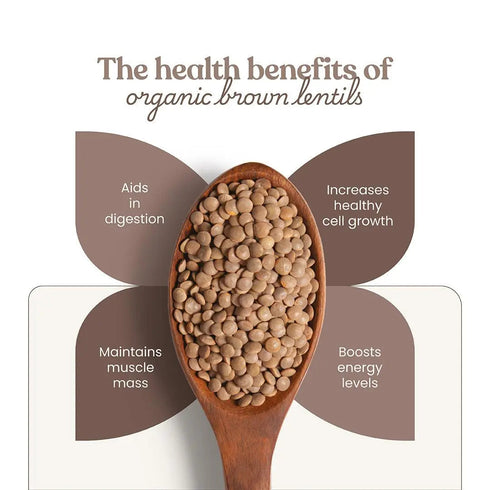 Bharat Vedica Organic Brown Lentils Organic Masoor Dal Sabut
