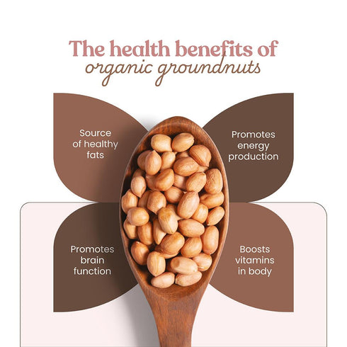Bharat Vedica Organic Groundnuts Organic Moongfali
