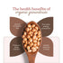 Bharat Vedica Organic Groundnuts Organic Moongfali