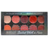 Shills Professional 10 Color Lip Palette-BS-7064-1.
