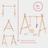 Ariro Toys Baby Floor Gym & Mobile