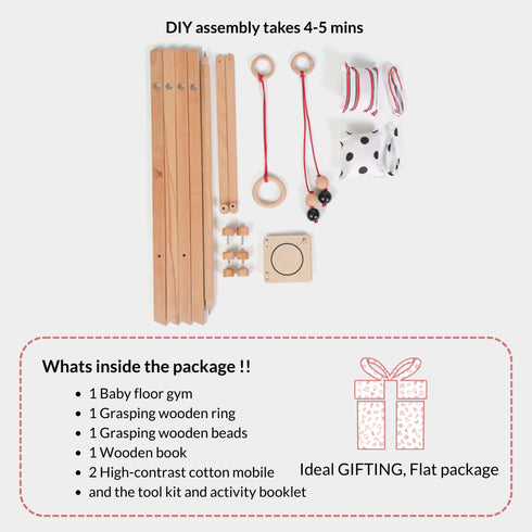 Ariro Toys Baby Floor Gym & Mobile