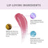 Lovetc Gloss Glee Etc High Glaze Lip Gloss