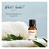 Vasuestore Vasu Aromatics Basil Essential Oil 100 Pure and Natural