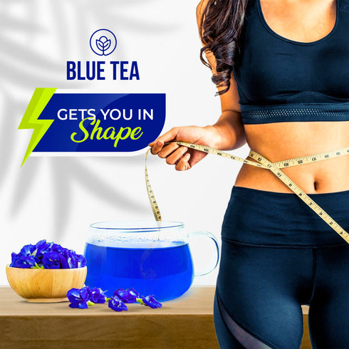 Blue Tea Butterfly Pea Flower Tea | 300 Teabags
