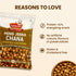 Jabsons Foods Hing Jeera Roasted Chana