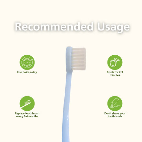 Natuur Daito Tooth Brush Honeybee (Made in Japan )