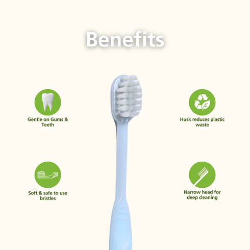 Natuur Daito Tooth Brush Honeybee (Made in Japan )