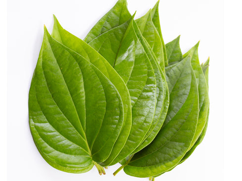 Paan leaves| Betel Leaves