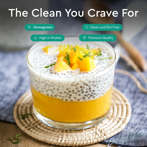 Nourish You Black chia seeds | Superfood | Rich in Omega-3 and Fiber