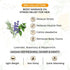 Keya Seth Aromatherapy Energizing Body Massage Oil for Men