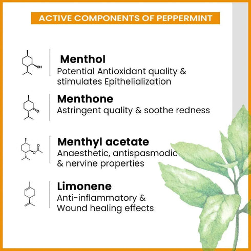 Keya Seth Aromatherapy Energizing Body Massage Oil for Men