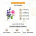 Keya Seth Aromatherapy Lavender & Rose Body Massage Oil for Women