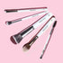 Praush 5 basic Face + Eye Brush Set combo