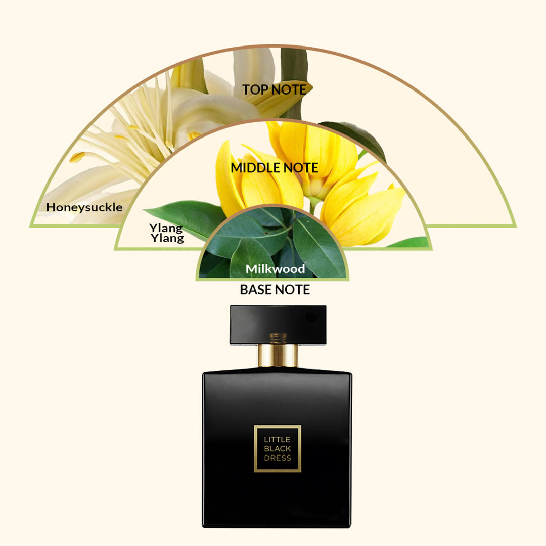 perfume little black dress avon EDP The 7 Best Little ktorej dodávajú hĺbku sladké 2=handle1=Drinks Cabinet=frances-woven-rattan-drink-cabinet-black Color:Black/Gold(As Picture)
