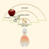 Avon Eve Prive EDP