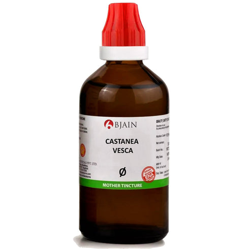 Bjain Castanea Vesca Q Mother Tincture