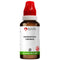 Bjain Chionanthus Virginica Q Mother Tincture