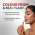 Chosen CHOSEN Tinted Lip Gloss Ceramide Lip Balm Combo