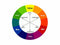 Shills Professional Color Wheel