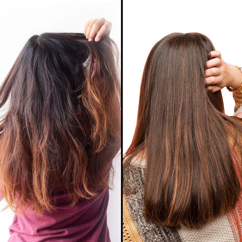 Theearthcollective in Colour Treated Hair Cleanser Shampoo Hair Carrot Seed & Milk Protein