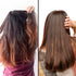 Theearthcollective in Colour Treated Hair Cleanser Shampoo Hair Carrot Seed & Milk Protein