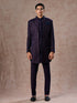 Manyavar Regal Purple Velvet Elegance Indo Western
