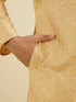Manyavar Light Fawn Kurta Set with Patra Work