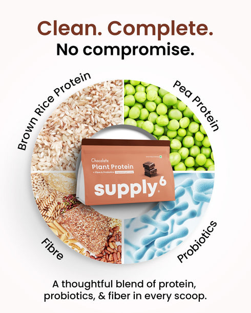 Supply6 Plant Protein - Chocolate New