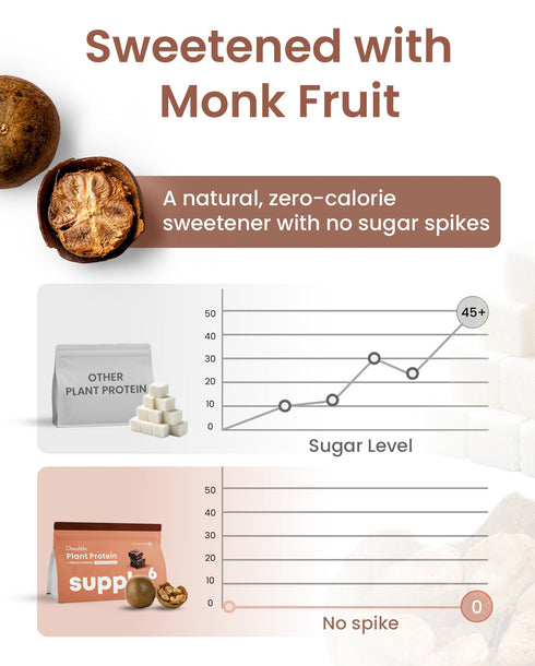 Supply6 Plant Protein - Chocolate New