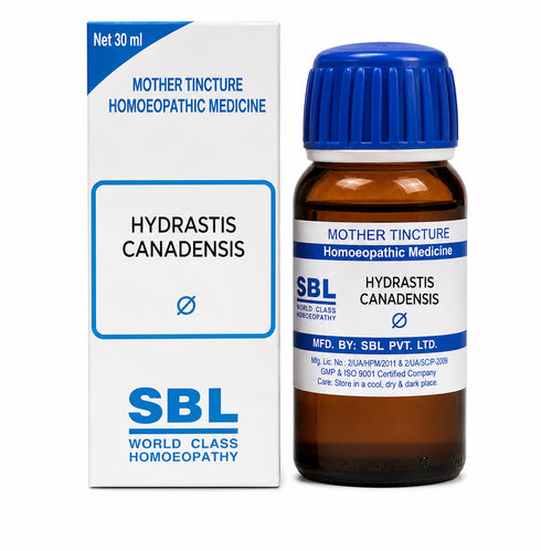 SBL Hydrastis Canadensis Mother Tincture Q | Stomach Care