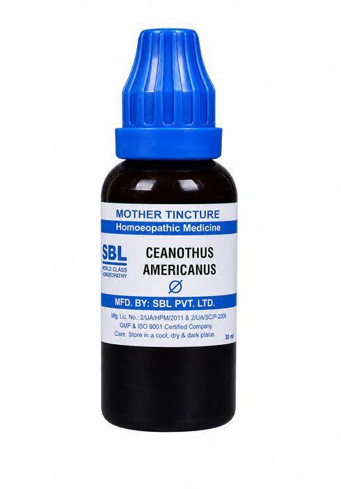SBL Ceanothus Americanus Mother Tincture Q