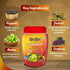 Sri Sri Tattva Chyawanprash 500g