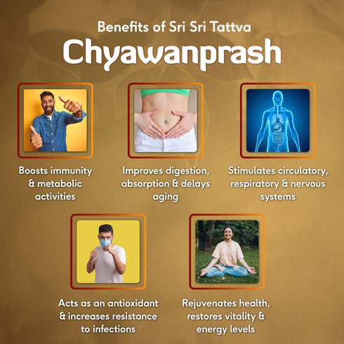 Sri Sri Tattva Chyawanprash 500g