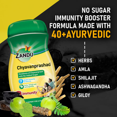 Zandu |Sugar Free Chyavanprashad