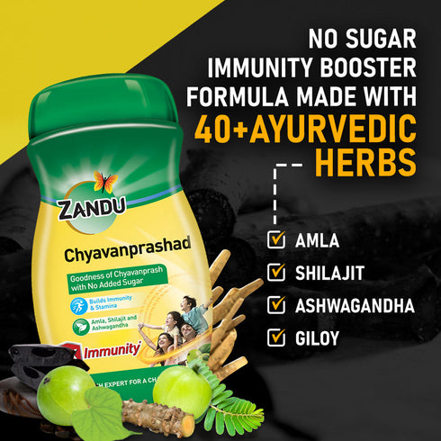 Zandu |Sugar Free Chyavanprashad