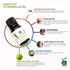 Thriveco Anveya Citronella Oil 100 Pure 15ml For Hair Skin Mosquito Repellent & Refreshing Aroma