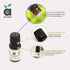Thriveco Anveya Citronella Oil 100 Pure 15ml For Hair Skin Mosquito Repellent & Refreshing Aroma