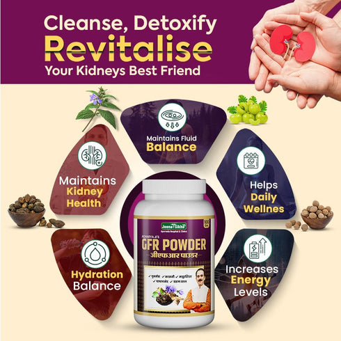 Jeena Sikho GFR Powder Ayurvedic Kidney and Urinary Wellness Support