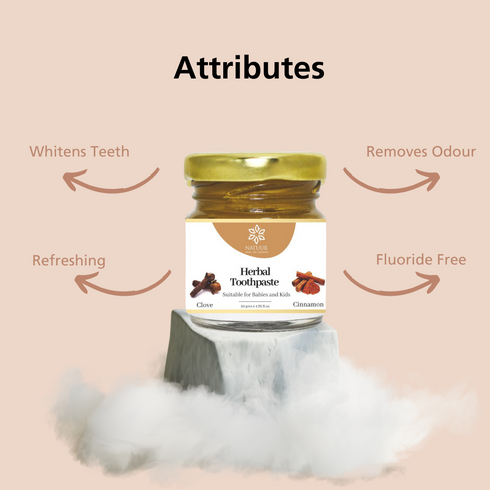 Natuur Herbal Toothpaste Cloves and Lemon 50gm