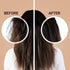 Kt Professional Coffee Bean Shampoo