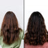 Theearthcollective in Combo Dry & Damaged Hair Hair Cleanser & Conditioner Pack