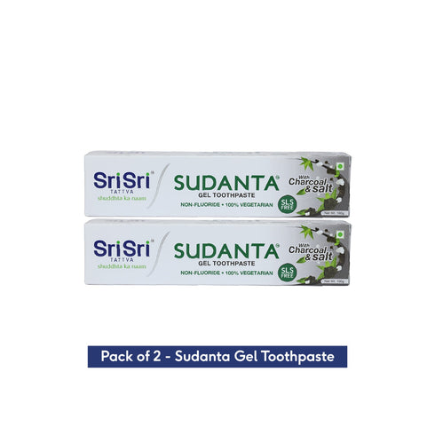 Sri sri tattva sudanta gel toothpaste