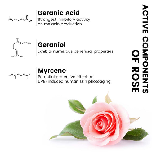 Keya Seth Aromatherapy Multani Mitti Face Pack & Rose Toner Combo