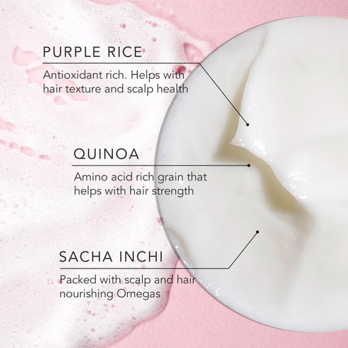 Daughter Earth Purple Rice + Quinoa The Shampoo & The Conditioner